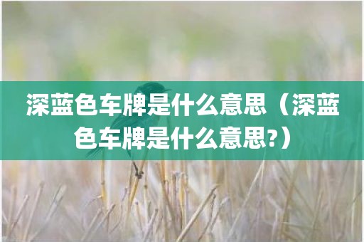 深蓝色车牌是什么意思（深蓝色车牌是什么意思?）
