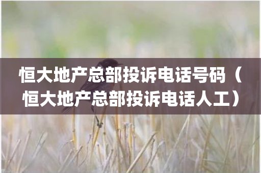 恒大地产总部投诉电话号码（恒大地产总部投诉电话人工）