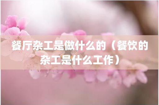 餐厅杂工是做什么的(餐饮的杂工是什么工作)
