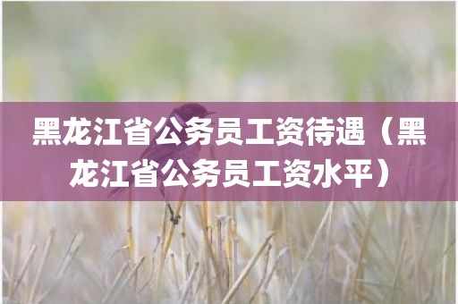 黑龙江省公务员工资待遇（黑龙江省公务员工资水平）