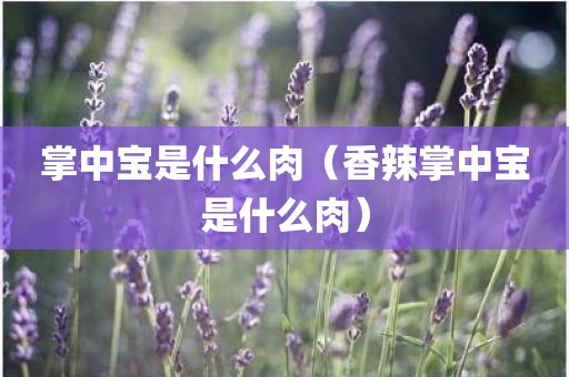 掌中宝是什么肉（香辣掌中宝是什么肉）