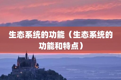生态系统的功能（生态系统的功能和特点）