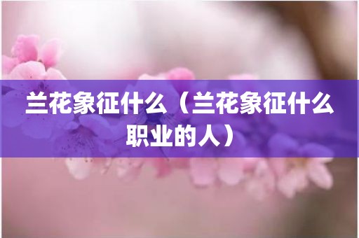 兰花象征什么（兰花象征什么职业的人）