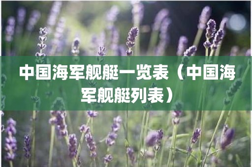 中国海军舰艇一览表（中国海军舰艇列表）