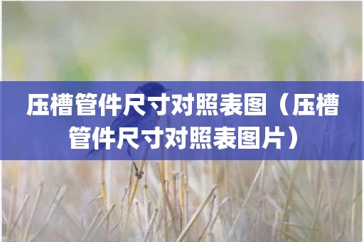 压槽管件尺寸对照表图（压槽管件尺寸对照表图片）