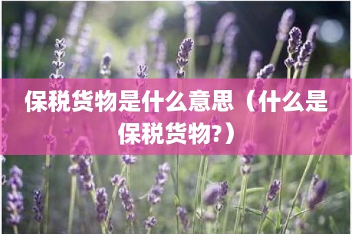 保税货物是什么意思（什么是保税货物?）