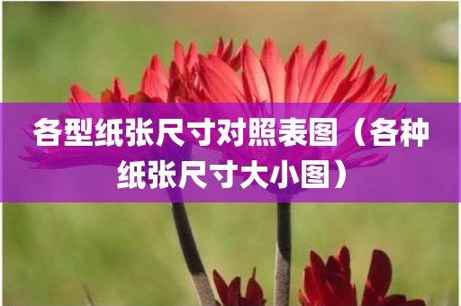 各型纸张尺寸对照表图（各种纸张尺寸大小图）