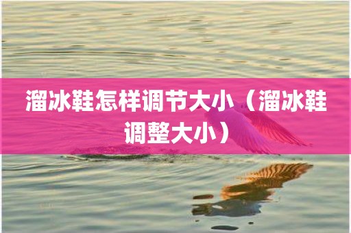 溜冰鞋怎样调节大小（溜冰鞋调整大小）