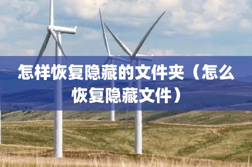 怎样恢复隐藏的文件夹（怎么恢复隐藏文件）