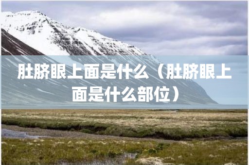 肚脐眼上面是什么（肚脐眼上面是什么部位）