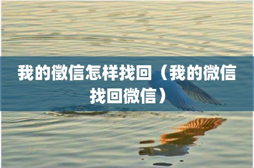 我的徵信怎样找回（我的微信找回微信）