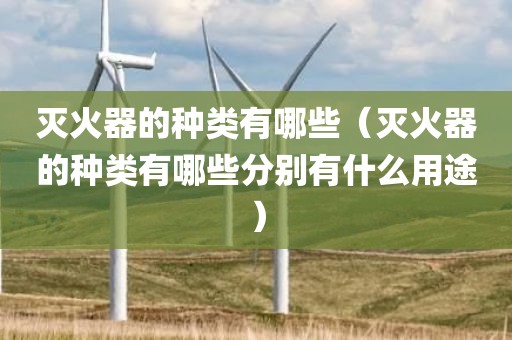 灭火器的种类有哪些（灭火器的种类有哪些分别有什么用途）