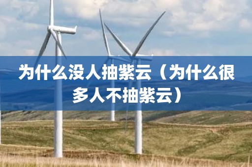 为什么没人抽紫云（为什么很多人不抽紫云）