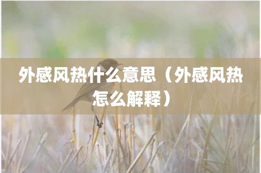 外感风热什么意思(外感风热怎么解释)