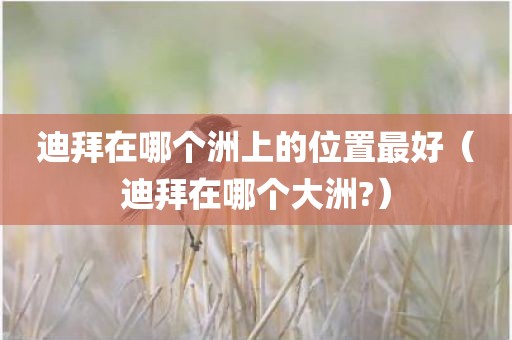 迪拜在哪个洲上的位置最好（迪拜在哪个大洲?）