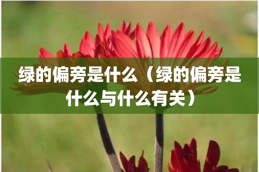 绿的偏旁是什么（绿的偏旁是什么与什么有关）