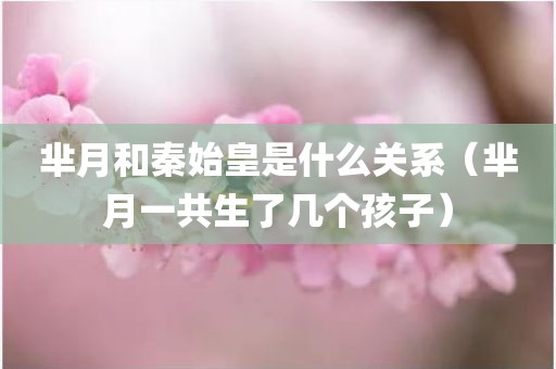 芈月和秦始皇是什么关系（芈月一共生了几个孩子）