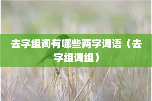 去字组词有哪些两字词语（去字组词组）