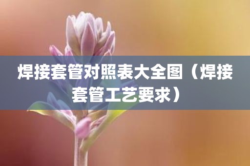 焊接套管对照表大全图（焊接套管工艺要求）
