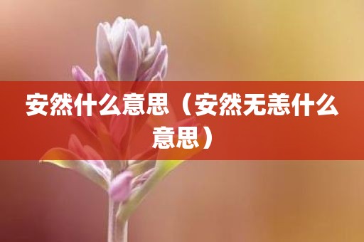 安然什么意思（安然无恙什么意思）