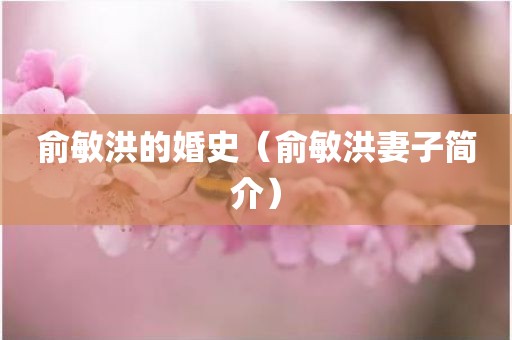 俞敏洪的婚史（俞敏洪妻子简介）