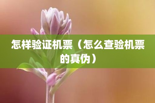 怎样验证机票（怎么查验机票的真伪）