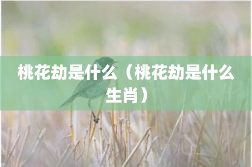 桃花劫是什么（桃花劫是什么生肖）