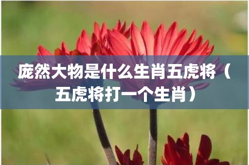 庞然大物是什么生肖五虎将（五虎将打一个生肖）