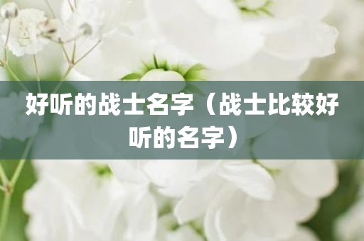 好听的战士名字（战士比较好听的名字）