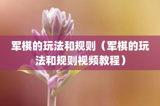 军棋的玩法和规则（军棋的玩法和规则视频教程）