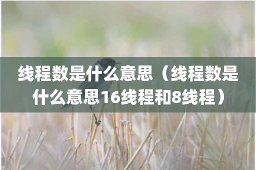 线程数是什么意思（线程数是什么意思16线程和8线程）