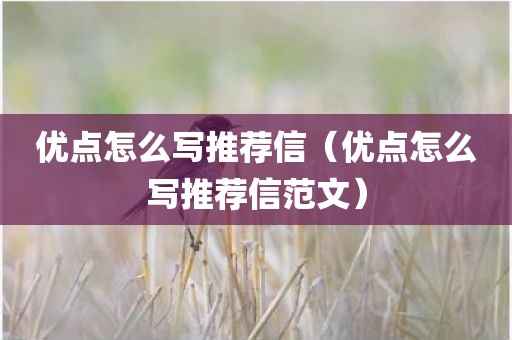 优点怎么写推荐信（优点怎么写推荐信范文）