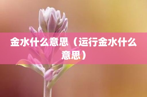 金水什么意思（运行金水什么意思）