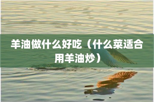 羊油做什么好吃（什么菜适合用羊油炒）