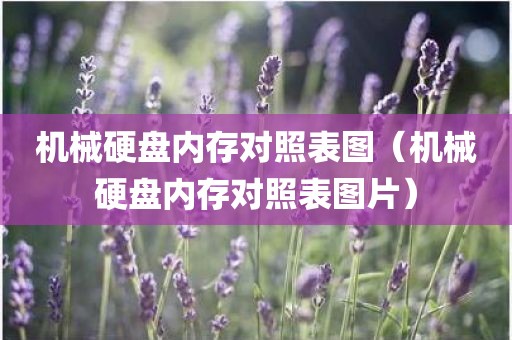 机械硬盘内存对照表图（机械硬盘内存对照表图片）