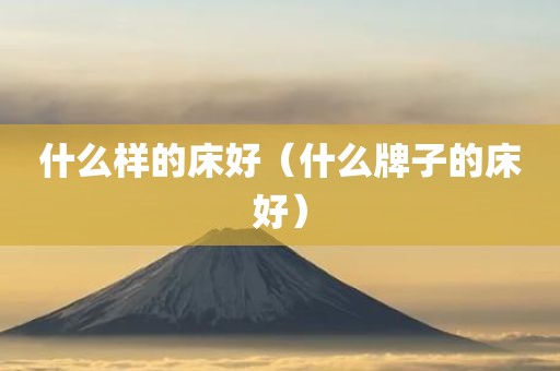 什么样的床好（什么牌子的床好）