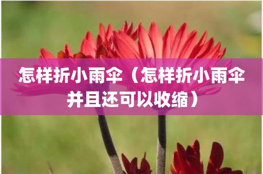 怎样折小雨伞（怎样折小雨伞并且还可以收缩）