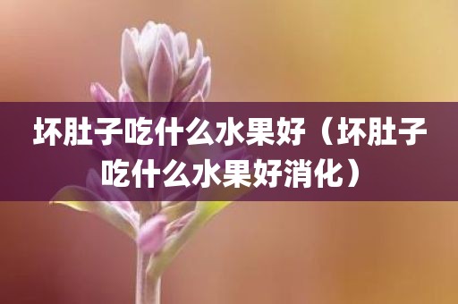 坏肚子吃什么水果好（坏肚子吃什么水果好消化）