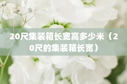 20尺集装箱长宽高多少米（20尺的集装箱长宽）