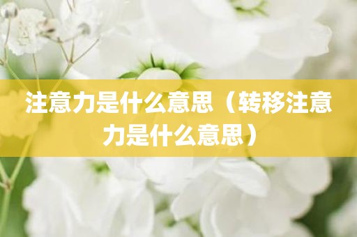 注意力是什么意思（转移注意力是什么意思）
