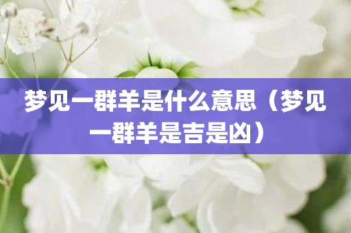 梦见一群羊是什么意思(梦见一群羊是吉是凶)
