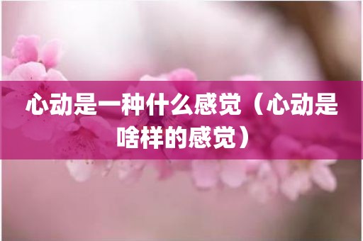 心动是一种什么感觉（心动是啥样的感觉）