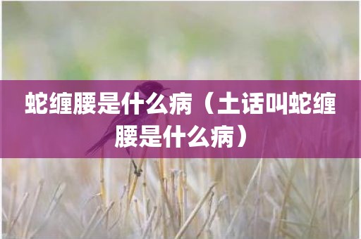蛇缠腰是什么病（土话叫蛇缠腰是什么病）