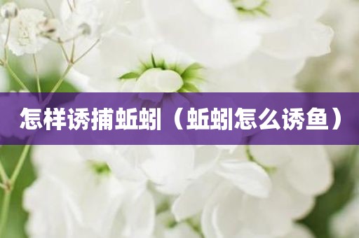 怎样诱捕蚯蚓（蚯蚓怎么诱鱼）