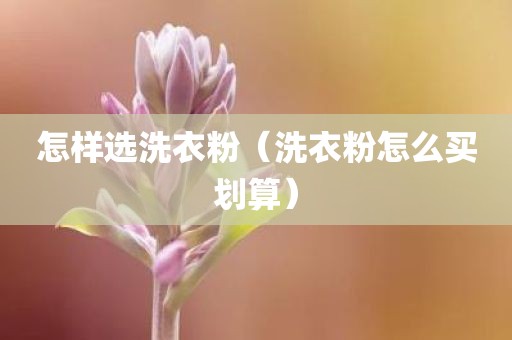 怎样选洗衣粉（洗衣粉怎么买划算）