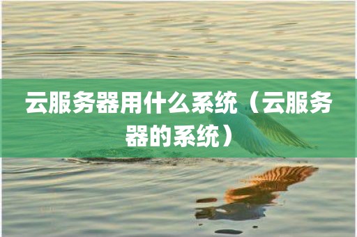 云服务器用什么系统（云服务器的系统）