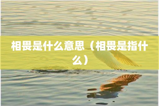 相畏是什么意思（相畏是指什么）