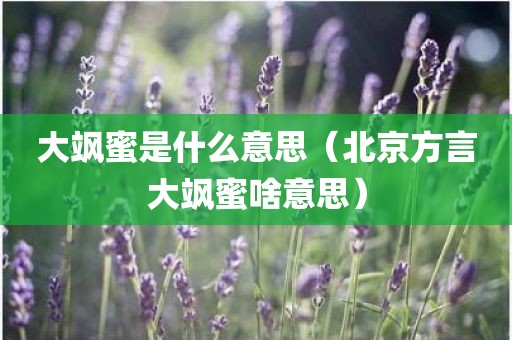 大飒蜜是什么意思（北京方言大飒蜜啥意思）