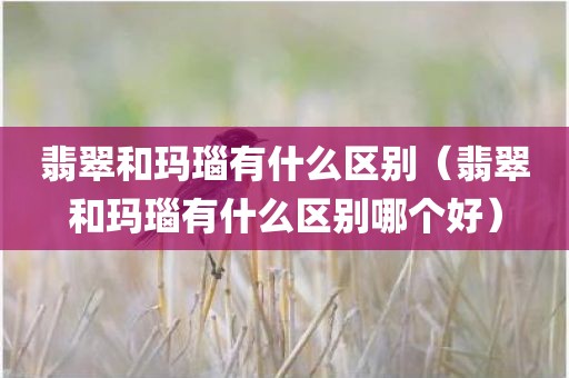 翡翠和玛瑙有什么区别（翡翠和玛瑙有什么区别哪个好）