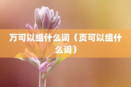 万可以组什么词（页可以组什么词）